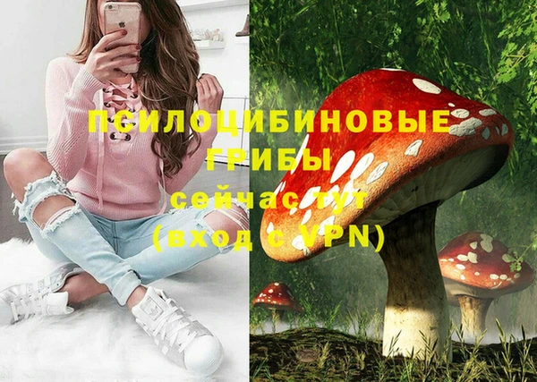 СК Вязники