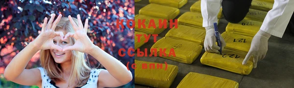 тгк Горняк
