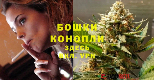 молекула духа Горнозаводск