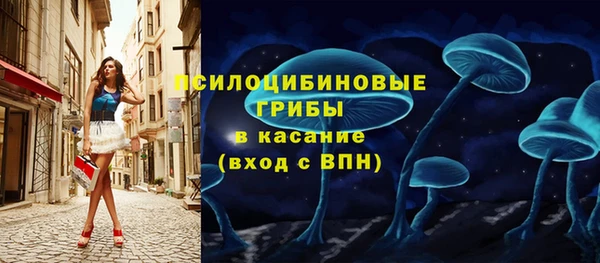 тгк Горняк