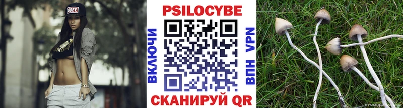 Галлюциногенные грибы MAGIC MUSHROOMS наркотики hydra как войти Змеиногорск